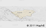 Shaded Relief Panoramic Map of Zabkowice Slaskie, lighten, desaturated
