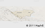 Shaded Relief Panoramic Map of Zabkowice Slaskie, lighten