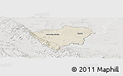 Shaded Relief Panoramic Map of Zabkowice Slaskie, lighten, semi-desaturated