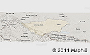 Shaded Relief Panoramic Map of Zabkowice Slaskie, semi-desaturated