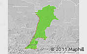 Political 3D Map of Zgorzelec, lighten, desaturated