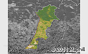 Satellite 3D Map of Zgorzelec, desaturated