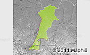 Physical Map of Zgorzelec, desaturated