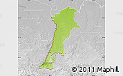 Physical Map of Zgorzelec, lighten, desaturated