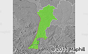 Political Map of Zgorzelec, desaturated