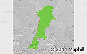 Political Map of Zgorzelec, lighten, desaturated