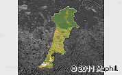 Satellite Map of Zgorzelec, darken, desaturated