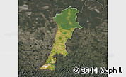 Satellite Map of Zgorzelec, darken, semi-desaturated