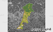 Satellite Map of Zgorzelec, desaturated