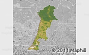 Satellite Map of Zgorzelec, lighten, desaturated