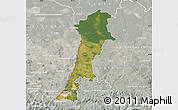 Satellite Map of Zgorzelec, lighten, semi-desaturated