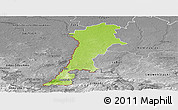 Physical Panoramic Map of Zgorzelec, desaturated