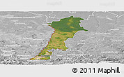 Satellite Panoramic Map of Zgorzelec, lighten, desaturated