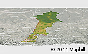 Satellite Panoramic Map of Zgorzelec, lighten, semi-desaturated