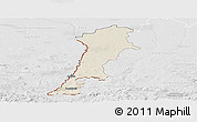 Shaded Relief Panoramic Map of Zgorzelec, lighten, desaturated