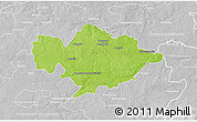 Physical 3D Map of Tomaszow Mazowiecki, lighten, desaturated