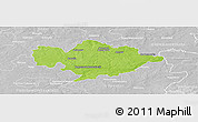 Physical Panoramic Map of Tomaszow Mazowiecki, lighten, desaturated