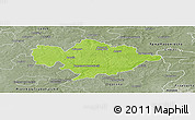Physical Panoramic Map of Tomaszow Mazowiecki, semi-desaturated
