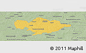 Savanna Style Panoramic Map of Tomaszow Mazowiecki