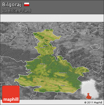 Satellite 3D Map of Bilgoraj, desaturated