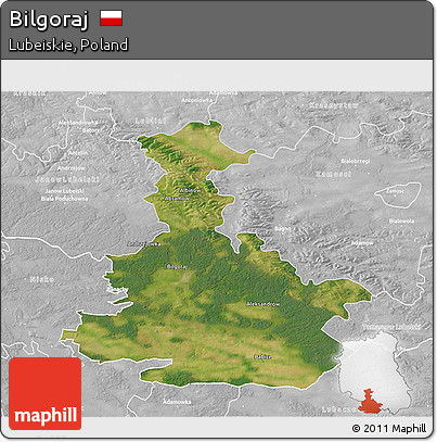 Satellite 3D Map of Bilgoraj, lighten, desaturated