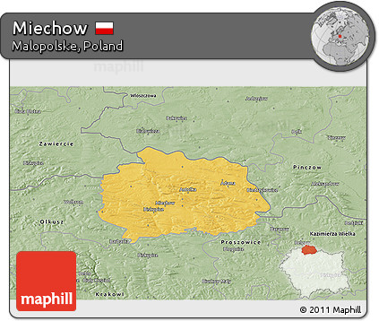 Savanna Style 3D Map of Miechow