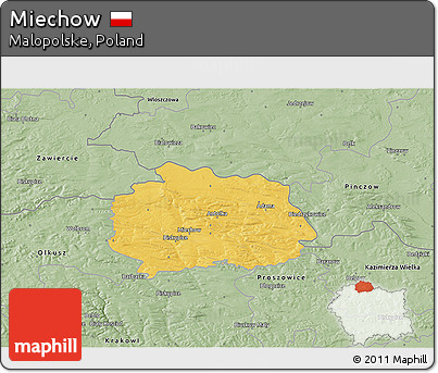 Savanna Style 3D Map of Miechow
