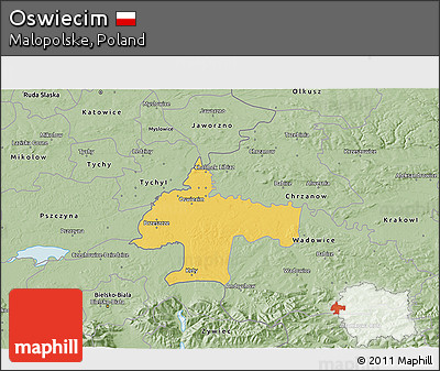 Savanna Style 3D Map of Oswiecim