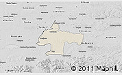 Shaded Relief 3D Map of Oswiecim, desaturated
