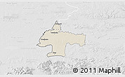 Shaded Relief 3D Map of Oswiecim, lighten, desaturated
