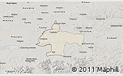 Shaded Relief 3D Map of Oswiecim, semi-desaturated