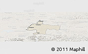 Shaded Relief Panoramic Map of Oswiecim, lighten