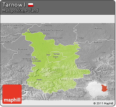 Physical 3D Map of Tarnow I, desaturated