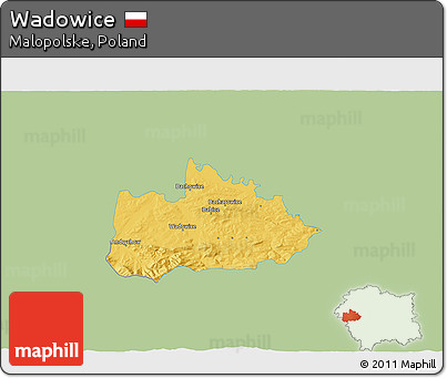 Savanna Style 3D Map of Wadowice, single color outside
