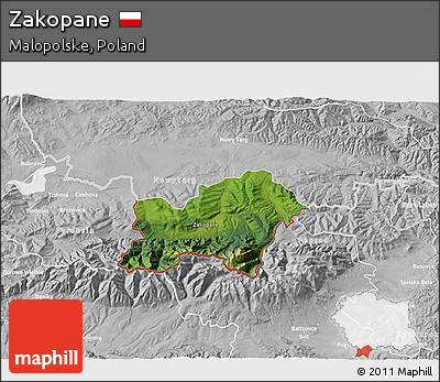 Satellite 3D Map of Zakopane, lighten, desaturated