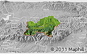 Satellite 3D Map of Zakopane, lighten, desaturated