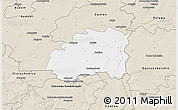 Classic Style 3D Map of Lipsko