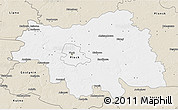 Classic Style 3D Map of Plock I