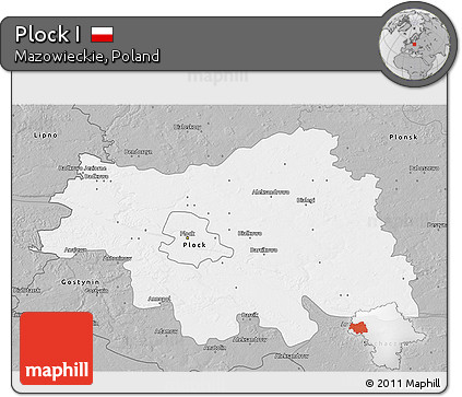 Gray 3D Map of Plock I