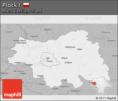 Gray 3D Map of Plock I