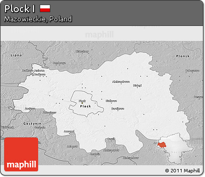Gray 3D Map of Plock I