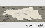 Shaded Relief Panoramic Map of Plock I, darken