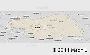 Shaded Relief Panoramic Map of Plock I, desaturated