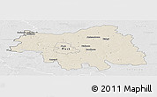 Shaded Relief Panoramic Map of Plock I, lighten, desaturated