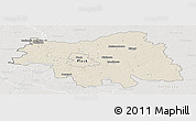 Shaded Relief Panoramic Map of Plock I, lighten, semi-desaturated