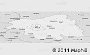 Silver Style Panoramic Map of Plock I