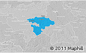 Political 3D Map of Pruszkow, lighten, desaturated