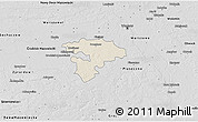 Shaded Relief 3D Map of Pruszkow, desaturated