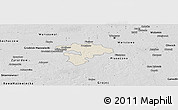Shaded Relief Panoramic Map of Pruszkow, desaturated