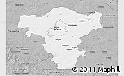 Gray 3D Map of Radom I